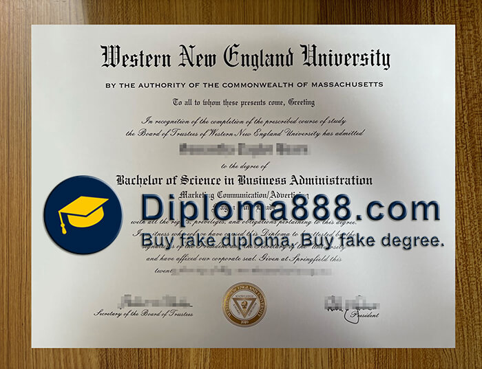 Western New England University degree