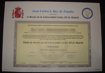 Order high quality Universidad Carlos III de Madrid degree.