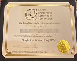 Buy Animal Chiropractic Certification Commission certificate