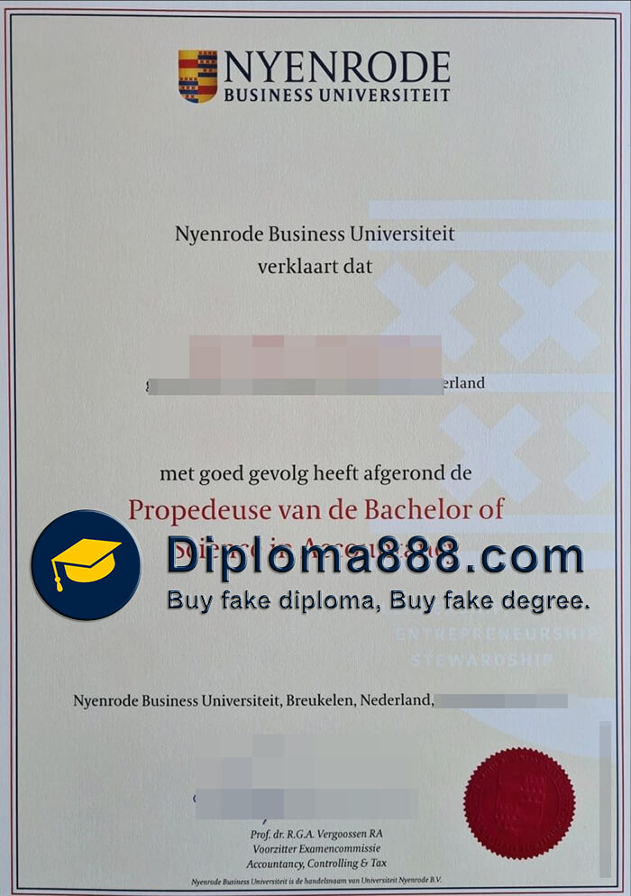 Nyenrode Business University degree