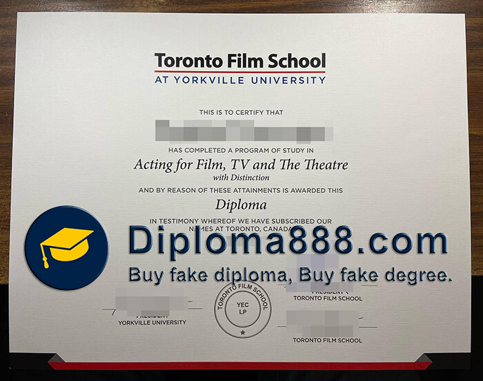 Toronto Film School degree