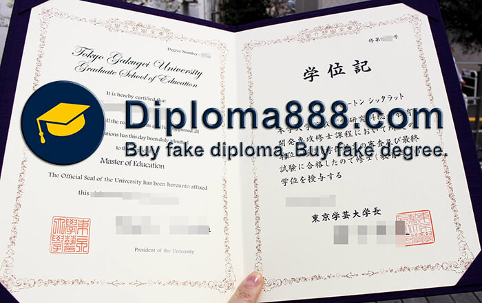 Tokyo Gakugei University diploma